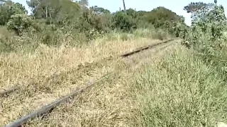 Foto: Um homem de aproximadamente 40 anos morreu após ser atingido por um trem n