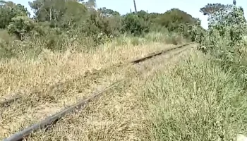 Foto: Um homem de aproximadamente 40 anos morreu após ser atingido por um trem n