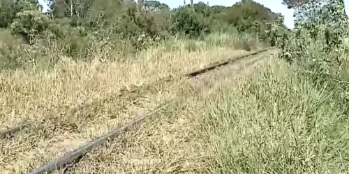 Foto: Um homem de aproximadamente 40 anos morreu após ser atingido por um trem n