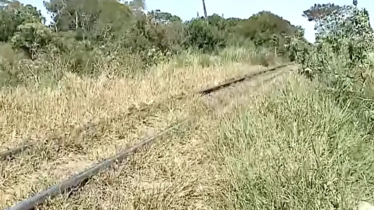 Foto: Um homem de aproximadamente 40 anos morreu após ser atingido por um trem n