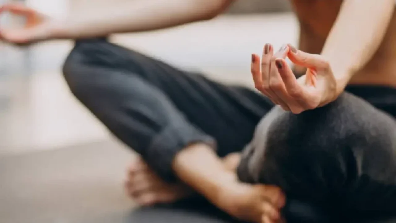 Foto: Ilustração: Divulgação