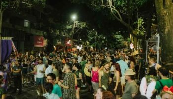 Foto: A onça vai rugir (e beber, não necessáriametne água) no Carnaval da Brasil
