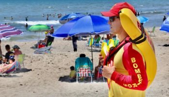 Foto: Governo do Paraná