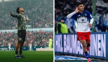 bm0187ww3hjz1qa0dsmuuc9r7