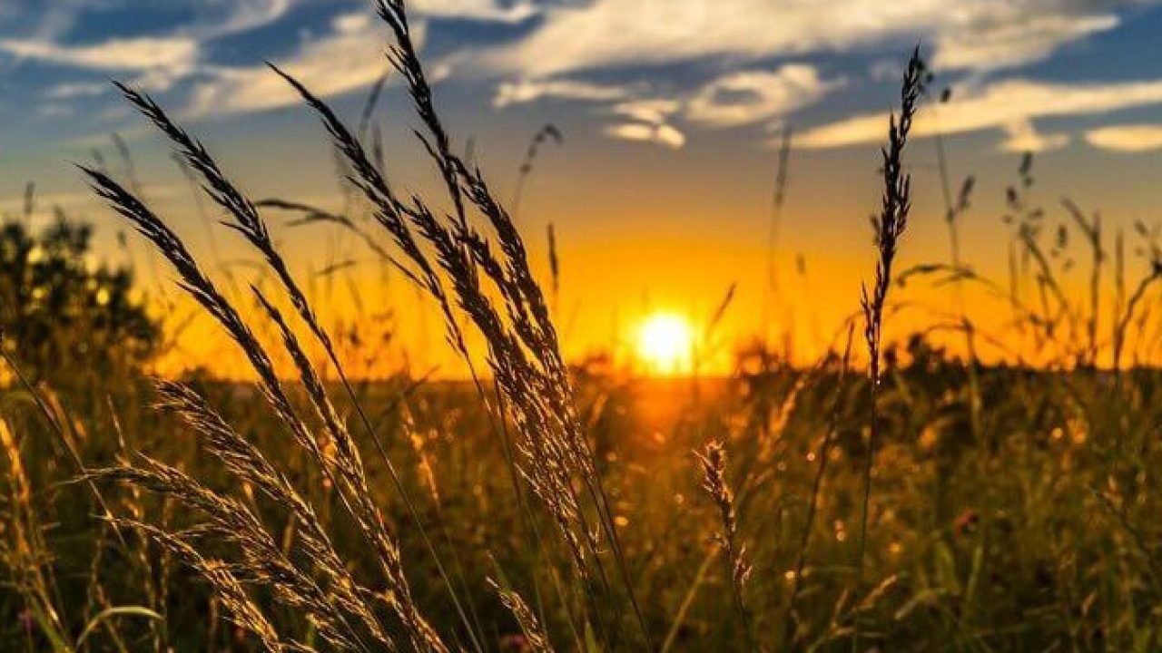 Foto: Governo do Paraná