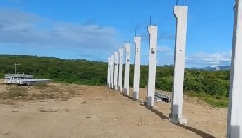 Foto: Terra Brasil Notícias