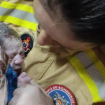 bombeiros006497060202607061240.png