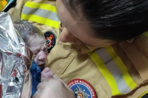 bombeiros006497060202607061240.png
