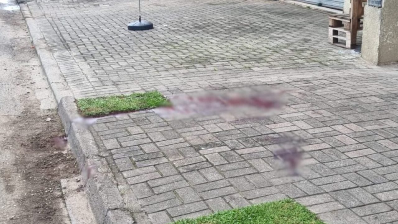 Foto: Banda B apurou que suspeitos fugiram após o crime. Foto: Kainan Lucas/ Ban