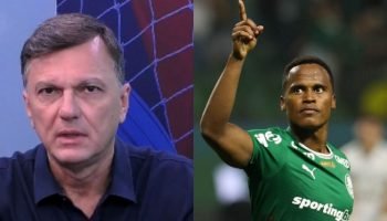 calq8ddwslpi5yq3id58xbhsr