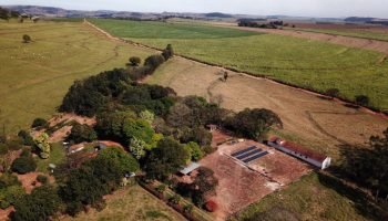 Governo do Paraná — Foto: Governo do Paraná