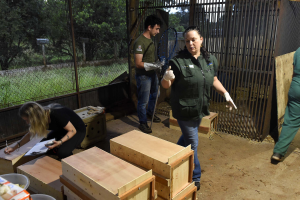 canal-iat-denuncias-denis-ferreira-netto-sedest006485690202606290904.png