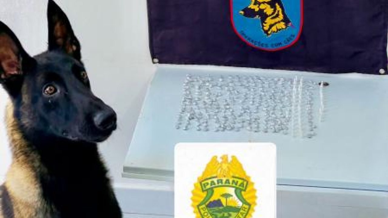 Foto: Governo do Paraná