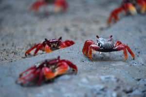 Foto: Governo do Paraná
