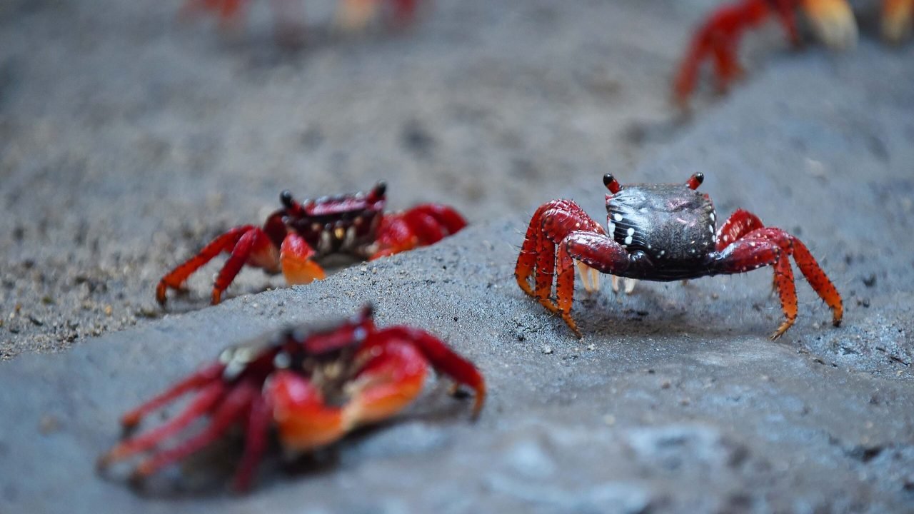 Foto: Governo do Paraná