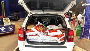 Apreensões dispararam no Paraná — Foto: Apreensões dispararam no Paraná. Fonte: