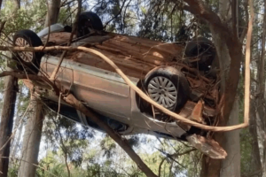 carro-pendurado-arvore-960x592-1