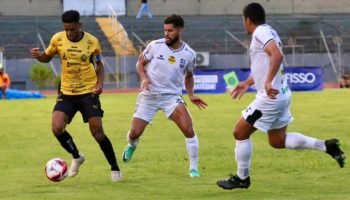 cascavel-galo
