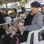 Os mutirões são abertos a todos os moradores da capital — Foto: Os mutirões são