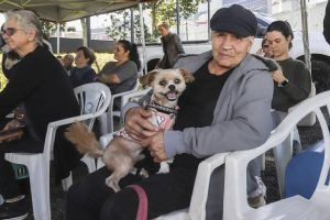 Os mutirões são abertos a todos os moradores da capital — Foto: Os mutirões são