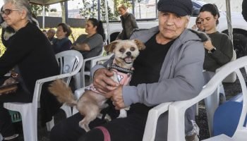 Os mutirões são abertos a todos os moradores da capital — Foto: Os mutirões são