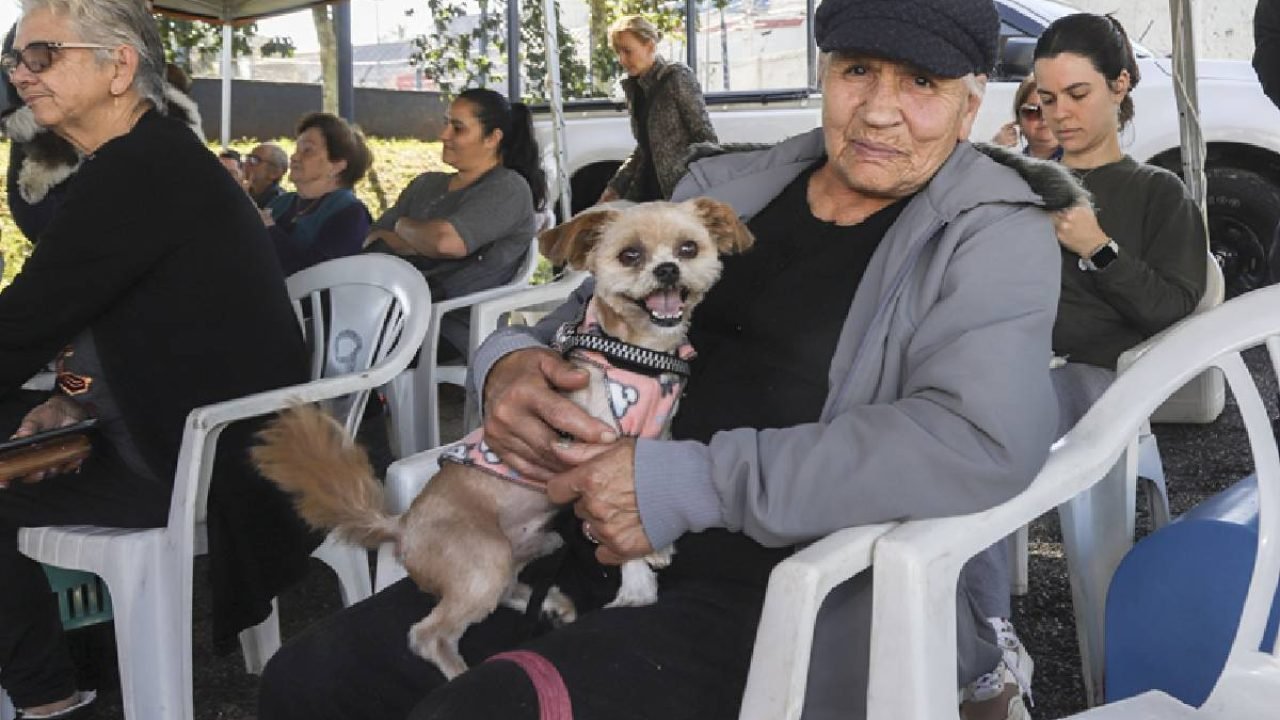 Os mutirões são abertos a todos os moradores da capital — Foto: Os mutirões são