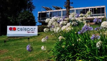 celepar-governo-parana