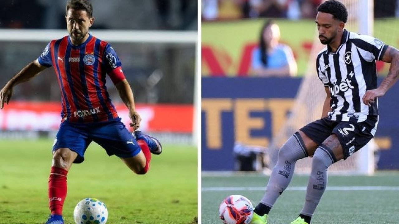 Bahia e Botafogo em ação — Foto: Imagem sugerida