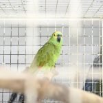 Foto: Governo do Paraná