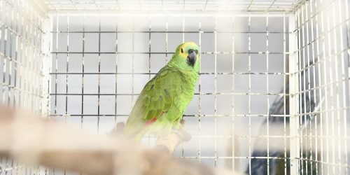 Foto: Governo do Paraná