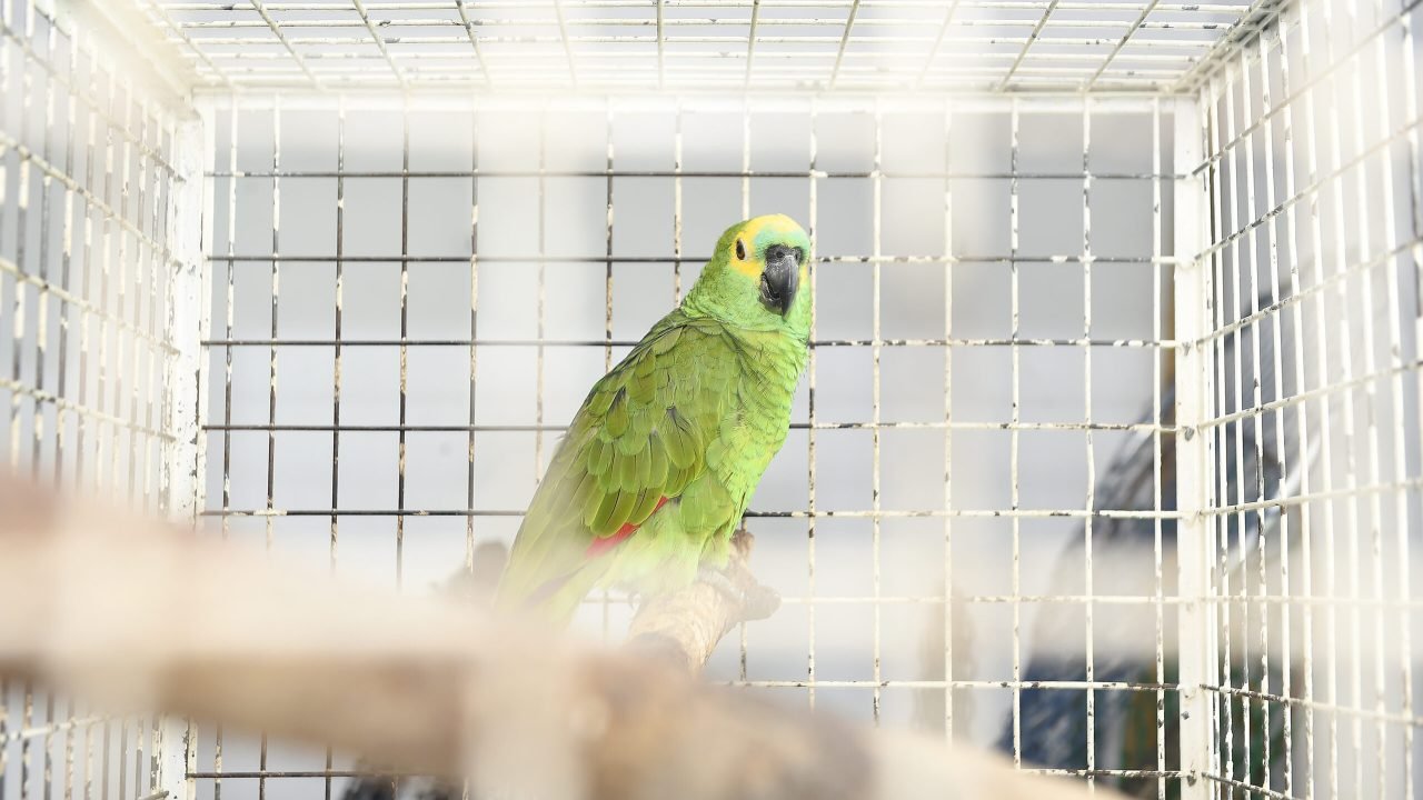 Foto: Governo do Paraná