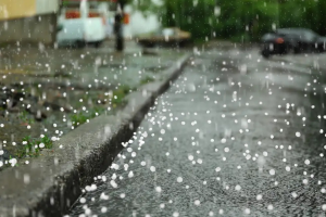 chuva006618060202607171224.png