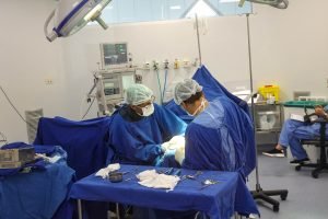 Foto: Governo do Paraná