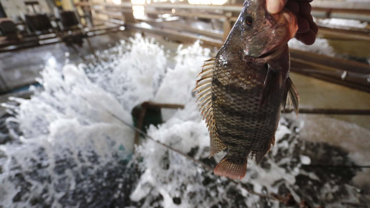 clJi4Y0XTNabz46vol9zq8qtoPDxvr2TK2eflWaj