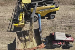 Foto: Governo do Paraná