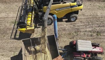 Foto: Governo do Paraná