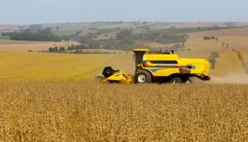 Foto: Governo do Paraná