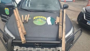 confusao-terminal-pinhais