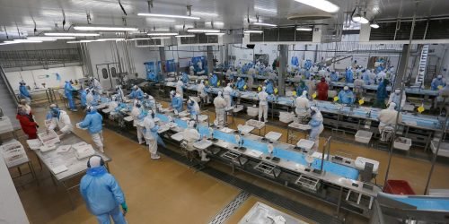 copacol_tilapia_21_1