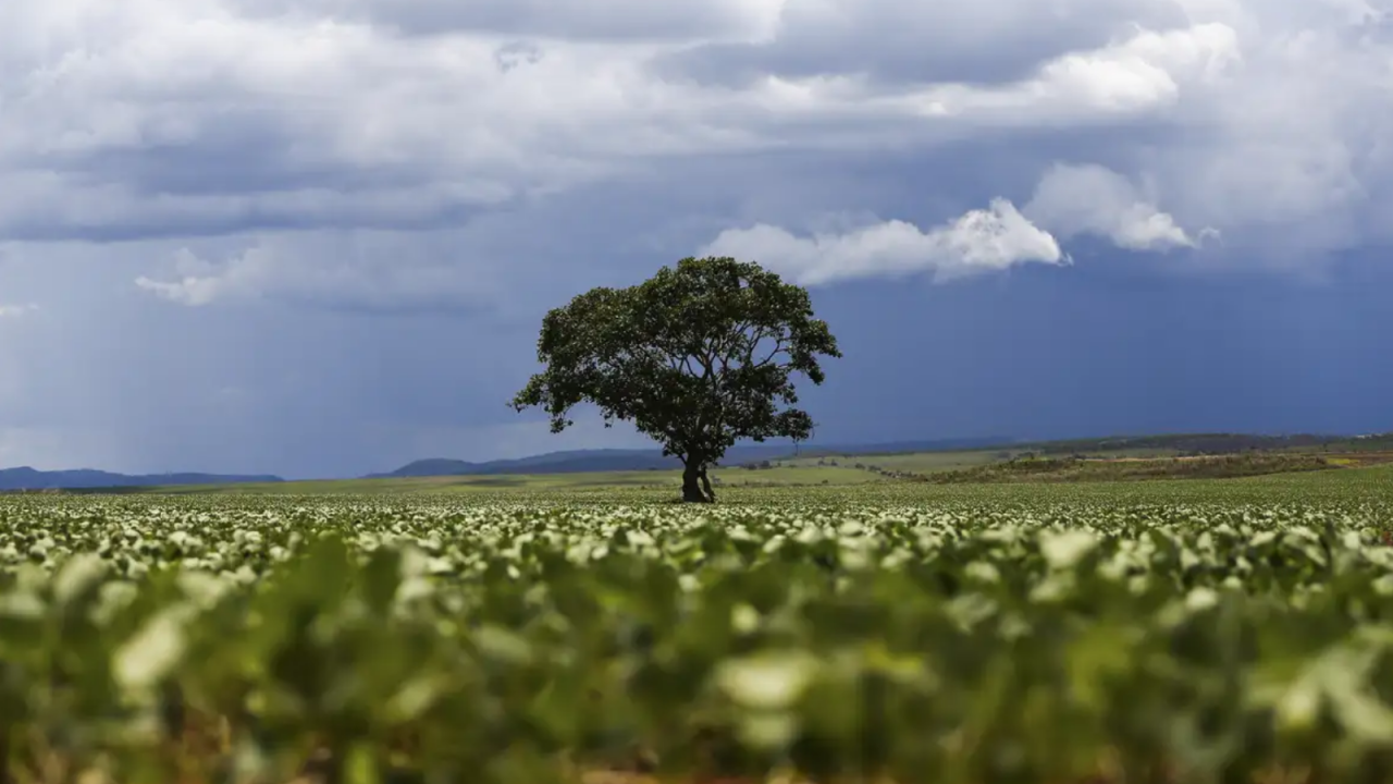 credito-rural-marcelo-camargo-agencia006620200202607181606.png