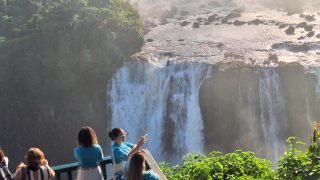 Foto: Governo do Paraná