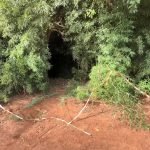 Logotipo da Massa — Foto: logo header new