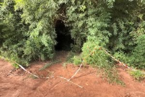 Logotipo da Massa — Foto: logo header new