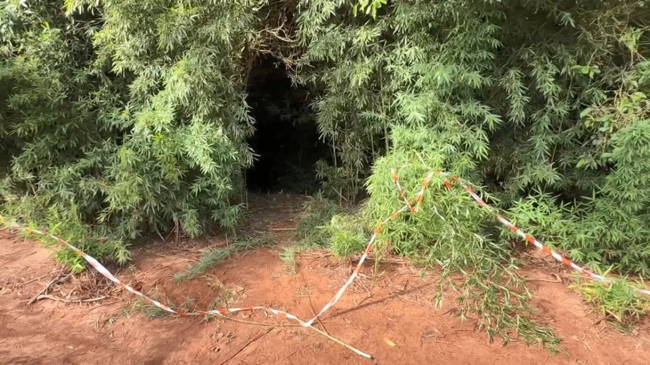 Logotipo da Massa — Foto: logo header new