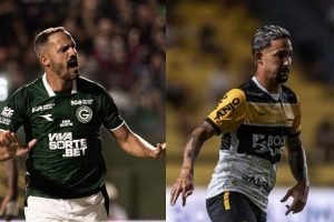 cy217mkz9wljm2kouo5pt4oa1