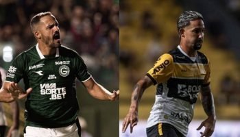 cy217mkz9wljm2kouo5pt4oa1