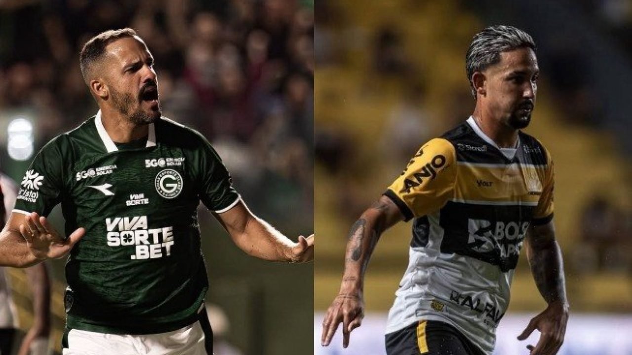 cy217mkz9wljm2kouo5pt4oa1