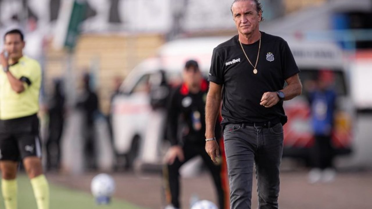 d4k08hsq9d2n0aa8l6gwzklet