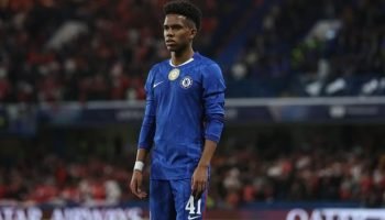 dbgv443280tjb41e48ozp7rgt