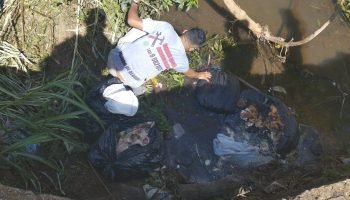 Foto: O Paraná – Jornal de Fato